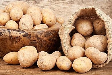 TGA 2023：《绝区零》新预告 2024年上线